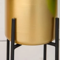 Outsunny Supports De Pots De Fleurs Design - Supports à Plantes - Lot De 3 Avec Pots De Fleurs - Métal époxy Noir Doré 10 Outsunny Supports De Pots De Fleurs Design - Supports à Plantes - Lot De 3 Avec Pots De Fleurs - Métal époxy Noir Doré -Outsunny Soldes Magasin 52476572 4